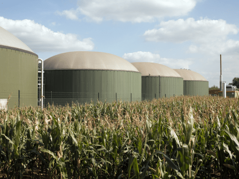 biogas