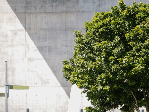 betonnen gebouw en boom