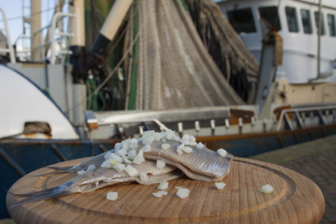 Haring op houten bord aan boot