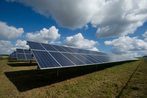 zonnepanelen in weide